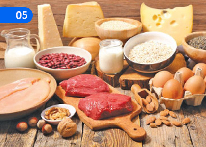 Human Nutrition,මානව පෝෂණය,Grade 11 Agriculture & Food Technology Lessons ,Grade 11 Agriculture & Food Technology Paadam