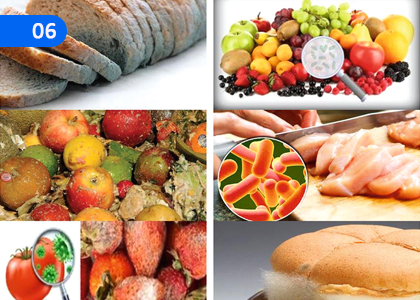 Food Spoilage,ආහාර නරක් වීම,Grade 11 Agriculture & Food Technology Lessons ,Grade 11 Agriculture & Food Technology Paadam