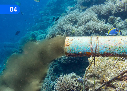 Various Problems and Challenges Faced in the Aquatic Life Industry,ජලජ ජීව සම්පත් කර්මාන්තයේ දී මුහුණපාන විවිධ ගැටලු හා අභියෝග,Grade 11 Aquatic Bioresources Technology Lessons ,Grade 11 Aquatic Bioresources Technology Paadam