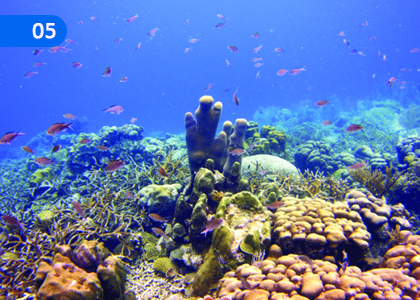 Sustainable Management of Aquatic Living Resources,ජලජ ජීව සම්පත් තිරසාරව කළමනාකරණය කිරීම,Grade 11 Aquatic Bioresources Technology Lessons ,Grade 11 Aquatic Bioresources Technology Paadam