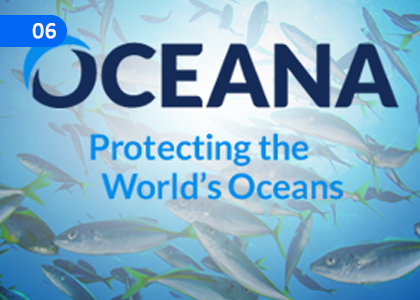 Contributions from Institutions for the Advancement of the Aquatic Biodiversity Industry,ජලජ ජීව සම්පත් කර්මාන්තයේ උන්නතිය සඳහා ආයතන වලින් ලැබෙන දායකත්වය,Grade 11 Aquatic Bioresources Technology Lessons ,Grade 11 Aquatic Bioresources Technology Paadam