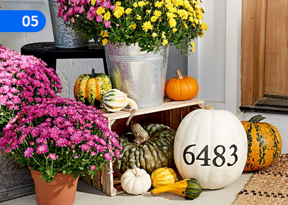 Various Decoration Designs,විසිතුරු අලංකරණ නිර්මාණය,Grade 11 Arts & Crafts Lessons ,Grade 11 Arts & Crafts Paadam