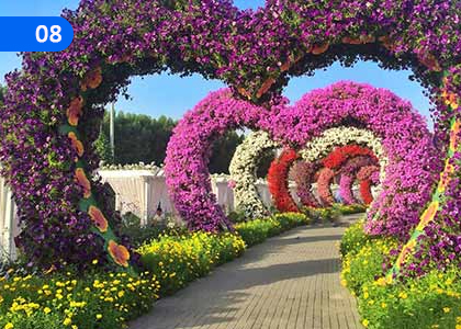 Creates Beautiful Garden Designs,උද්‍යාන අලංකරණ නිර්මාණ බිහි කරයි,Grade 11 Arts & Crafts Lessons ,Grade 11 Arts & Crafts Paadam