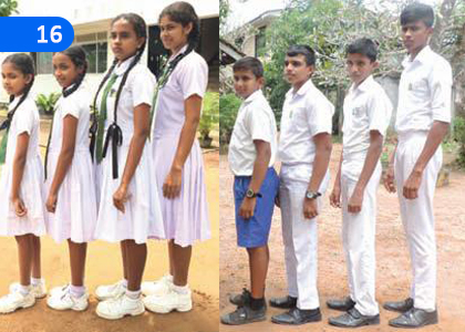 Let us Identify the Challenges in Adolescence,නව යොවුන් වියේ අභියෝග හඳුනා ගනිමු,Grade 11 Health & Physical Education Lessons ,Grade 11 Health & Physical Education Paadam