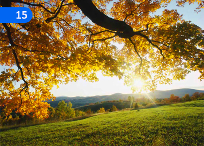 The Morning,උදය,Grade 11 Appreciation of Sinhala Literary Texts Lessons ,Grade 11 Appreciation of Sinhala Literary Texts Paadam