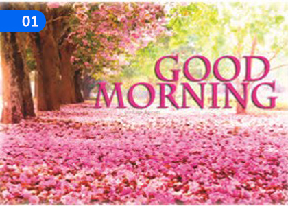 Let's Start,,Grade 1 English Lessons ,Grade 1 English Paadam