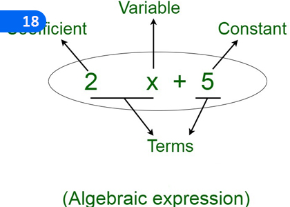 Algebraic Expression formation and Substitution,වීජීය ප්‍රකාශන ගොඩනැගීම හා ආදේශය,Grade 1 Mathematics Lessons ,Grade 1 Mathematics Paadam
