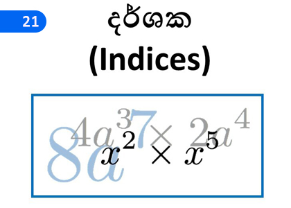 Indicators,දර්ශක,Grade 1 Mathematics Lessons ,Grade 1 Mathematics Paadam