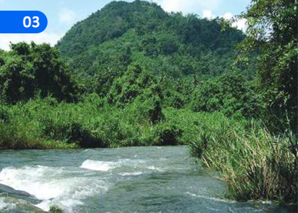 Water as a Natural Resource,ජලය ස්වාභාවික සම්පතක් ලෙස,Grade 6 Science Lessons ,Grade 6 Science Paadam