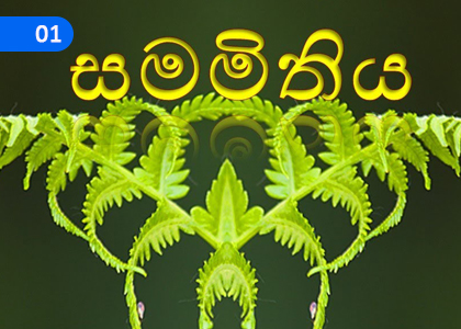 Symmetry,සමමිතිය,Grade 2 Mathematics Lessons ,Grade 2 Mathematics Paadam