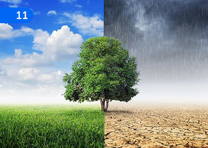 Weather and Climate,කාලගුණය හා දේශගුණය,Grade 6 Science Lessons ,Grade 6 Science Paadam