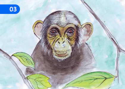 Monkey,වානරෝ,Grade 2 Pali Lessons ,Grade 2 Pali Paadam