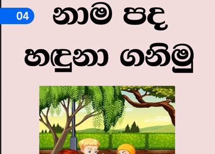 Let's Identify the Nouns,නාම පද හඳුනා ගනිමු,Grade 2 Sanskrit Lessons ,Grade 2 Sanskrit Paadam