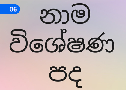 Adjectives,නාම විශේෂණ,Grade 2 Sanskrit Lessons ,Grade 2 Sanskrit Paadam