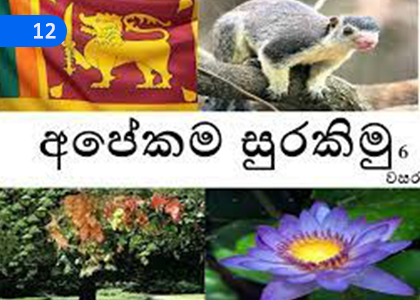 Let's Save Ours,අපේකම සුරකිමු,Grade 6 Buddhism Lessons ,Grade 6 Buddhism Paadam