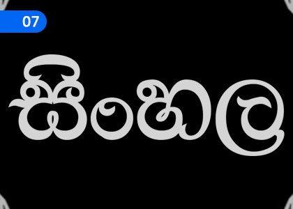 Various meaningful terms,විවිධ අර්ථවත් පද,Grade 2 Sinhala Lessons ,Grade 2 Sinhala Paadam