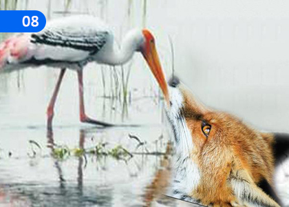 Sentence Formation,වාක්‍ය නිර්මාණය,Grade 2 Sinhala Lessons ,Grade 2 Sinhala Paadam