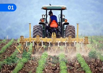 Technical Sector - Agriculture,තාක්ෂණික ක්ෂේත්‍රය - කෘෂිකර්මය,Grade 6 Practical & Technical Skills Lessons ,Grade 6 Practical & Technical Skills Paadam