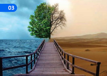 Dynamic Nature of the Environment,පරිසරයේ ගතික ස්වභාවය,Grade 3 Science Lessons ,Grade 3 Science Paadam