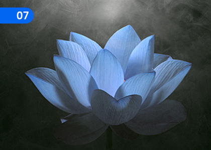 It is a Garden; This is a Pium,ඒ උයනකි; මේ පියුමකි,Grade 3 Sanskrit Lessons ,Grade 3 Sanskrit Paadam