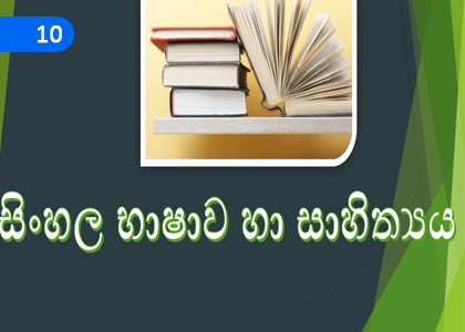 Meaning Comprehension,අර්ථාවබෝධය,Grade 3 Sinhala Lessons ,Grade 3 Sinhala Paadam