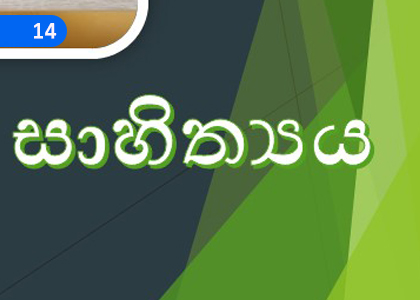 Rasaswadaya,රසාස්වාදය,Grade 3 Sinhala Lessons ,Grade 3 Sinhala Paadam