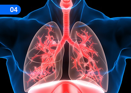 Breathing and respiratory system,ශ්වසනය හා ශ්වසන පද්ධතිය,Grade 3 Health & Physical Education Lessons ,Grade 3 Health & Physical Education Paadam