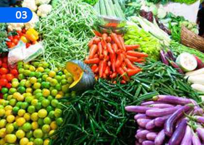 Let's Consume Food for a Healthy Life,සෞඛ්‍යවත් ජීවිතයක් සදහා ආහාර පරිභෝජනය කරමු,Grade 4 Health & Physical Education Lessons ,Grade 4 Health & Physical Education Paadam