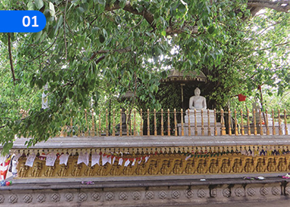 Love Nature,,Grade 4 English Lessons ,Grade 4 English Paadam