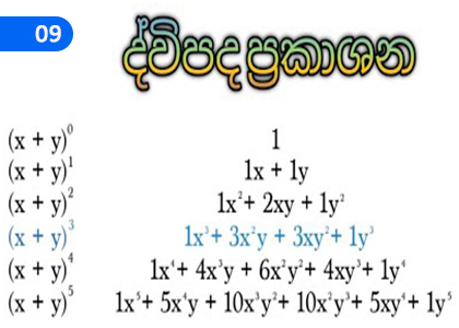 Binomial Expressions,ද්විපද ප්‍රකාශන,Grade 4 Mathematics Lessons ,Grade 4 Mathematics Paadam