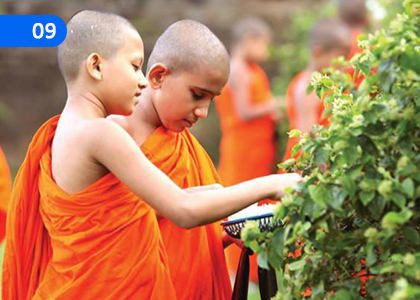 Let's Help,உதவி செய்வோம்,Grade 4 Tamil Lessons ,Grade 4 Tamil Paadam