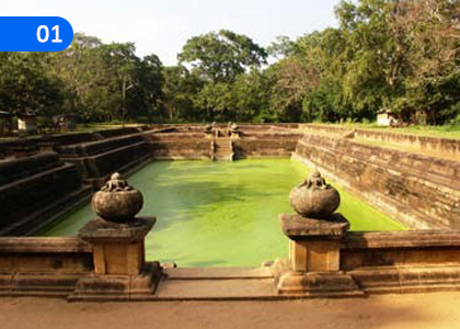 Source for Studying History,ඉතිහාසය හැදෑරීමට ඇති මූලාශ්‍රය,Grade 5 History Lessons ,Grade 5 History Paadam