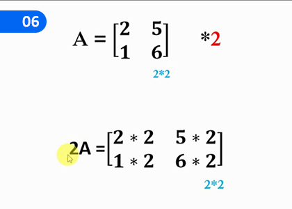 Matrices,න්‍යාස,Grade 5 Mathematics Lessons ,Grade 5 Mathematics Paadam