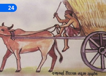 If you do Karma, will be there Birth,කළොත් කර්මය භවය එතැන ය,Grade 5 Thripitaka Dharmaya Lessons ,Grade 5 Thripitaka Dharmaya Paadam