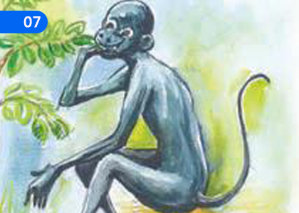 Who is the Oldest,மூத்தவர் யார்,Grade 5 Tamil Lessons ,Grade 5 Tamil Paadam