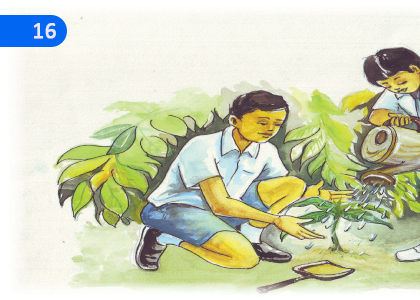 When Protects the Environment, It Will Save Us.,රකින විට පරිසරය රැකෙනු ඇත අප සැම,Grade 6 Buddhism Lessons ,Grade 6 Buddhism Paadam