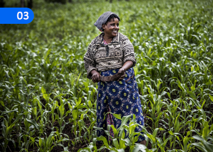 Economic affairs of the World,ලෝකයේ ආර්ථික කටයුතු,Grade 5 Geography Lessons ,Grade 5 Geography Paadam