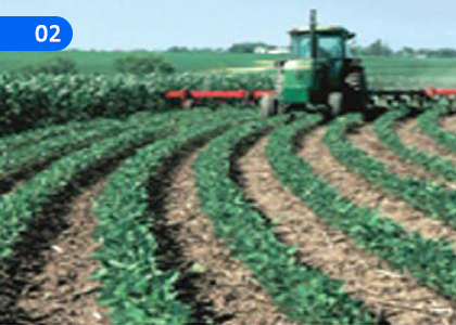 Social Evolution,සමාජ පරිණාමය,Grade 5 Sociology Lessons ,Grade 5 Sociology Paadam