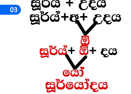 The Joints,සන්ධි,Grade 5 Sinhala Lessons ,Grade 5 Sinhala Paadam