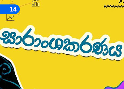 Summarization,සාරාංශකරණය,Grade 5 Sinhala Lessons ,Grade 5 Sinhala Paadam