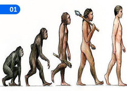 Building a Healthy Society,සෞඛ්‍යවත් සමාජයක් ගොඩ නැගීම,Grade 5 Health & Physical Education Lessons ,Grade 5 Health & Physical Education Paadam