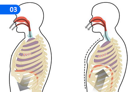 Human Respiratory System,මිනිසාගේ ශ්වසන පද්ධතිය,Grade 5 Health & Physical Education Lessons ,Grade 5 Health & Physical Education Paadam