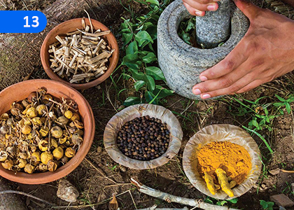 Ayurveda and Health Conservation,ආයුර්වේදය හා සෞඛ්‍ය සංරක්ෂණය,Grade 5 Health & Physical Education Lessons ,Grade 5 Health & Physical Education Paadam