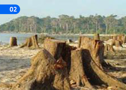 We Save Creation,මැවිල්ල සුරකින අපි,Grade 7 Christianity Lessons ,Grade 7 Christianity Paadam