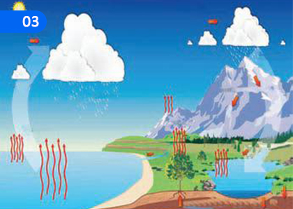 Continuity of God's Creation,දේව නිර්මාණයේ අඛණ්ඩ පැවැත්ම,Grade 7 Christianity Lessons ,Grade 7 Christianity Paadam