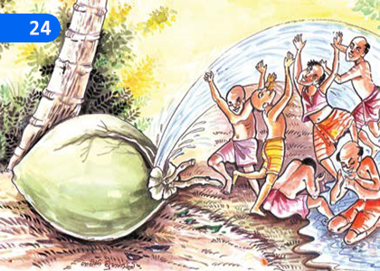How to get Coconut,පොල් ලද සැටි,Grade 7 Sinhala Lessons ,Grade 7 Sinhala Paadam