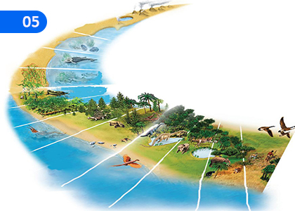 Once upon a Time,,Grade 7 English Lessons ,Grade 7 English Paadam