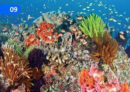 Our Beautiful World,,Grade 7 English Lessons ,Grade 7 English Paadam