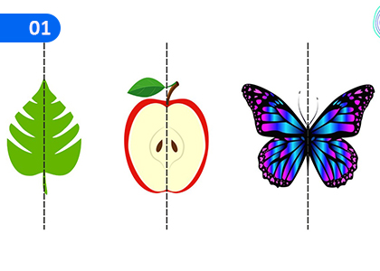 Symmetry,සමමිතිය,Grade 7 Mathematics Lessons ,Grade 7 Mathematics Paadam