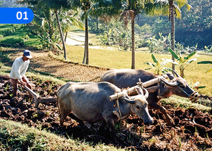 Our Ancient folk Life,අපේ පැරණි ජන ජීවිතය,Grade 7 History Lessons ,Grade 7 History Paadam